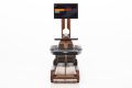 waterrower ergatta