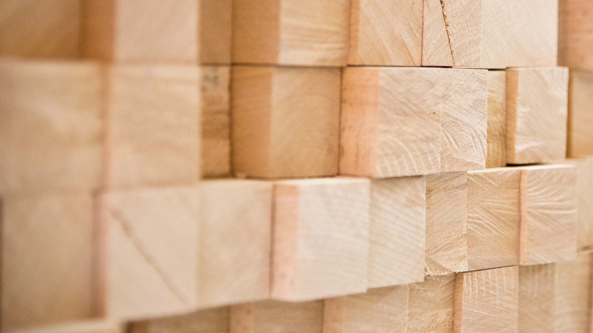 holz
