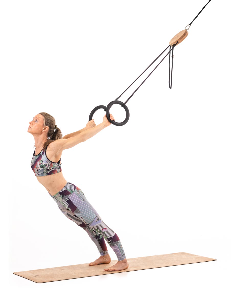 NOHrD Sling - Suspension Training