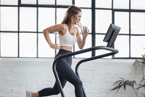 sprintbok running