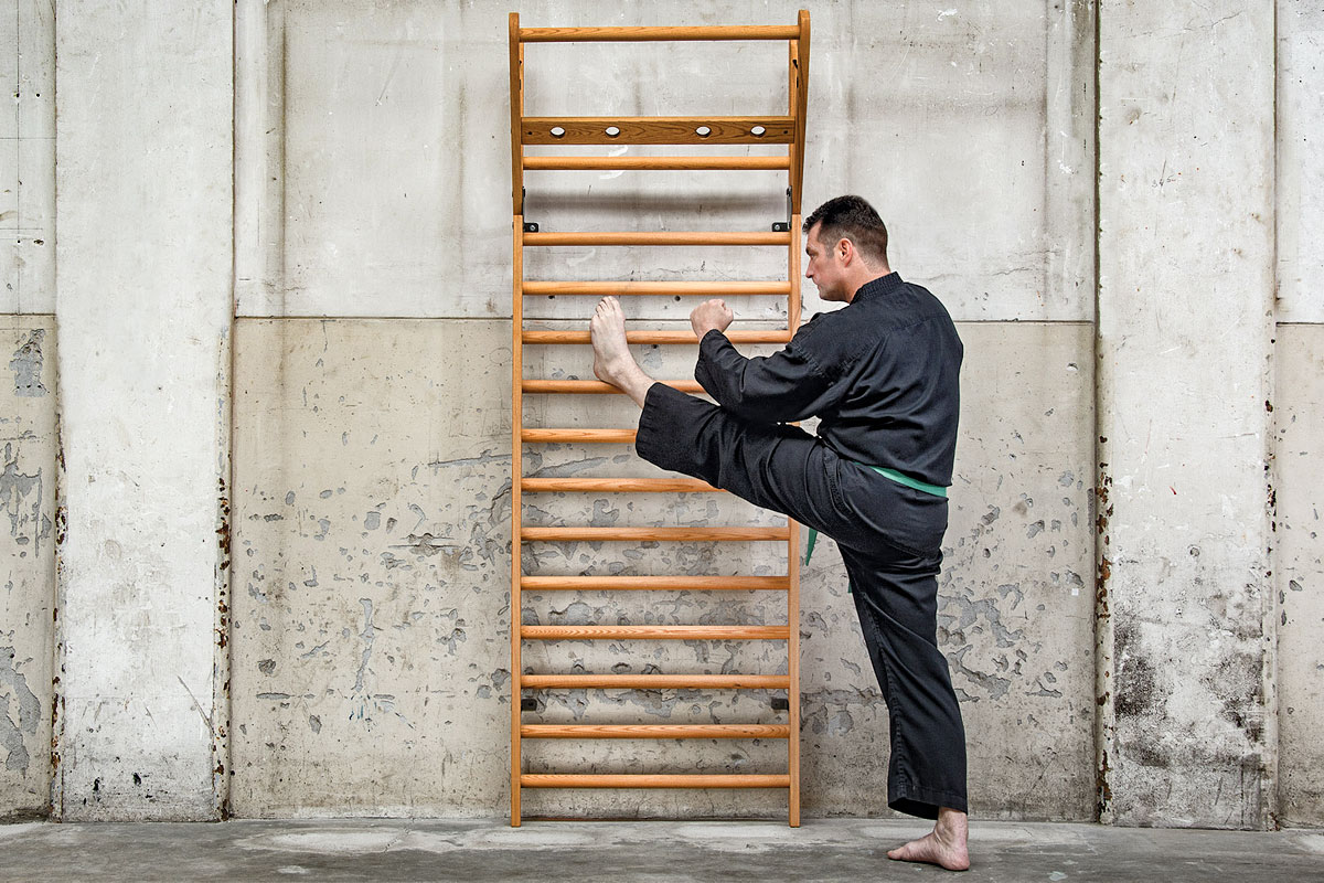 sprossenwand training