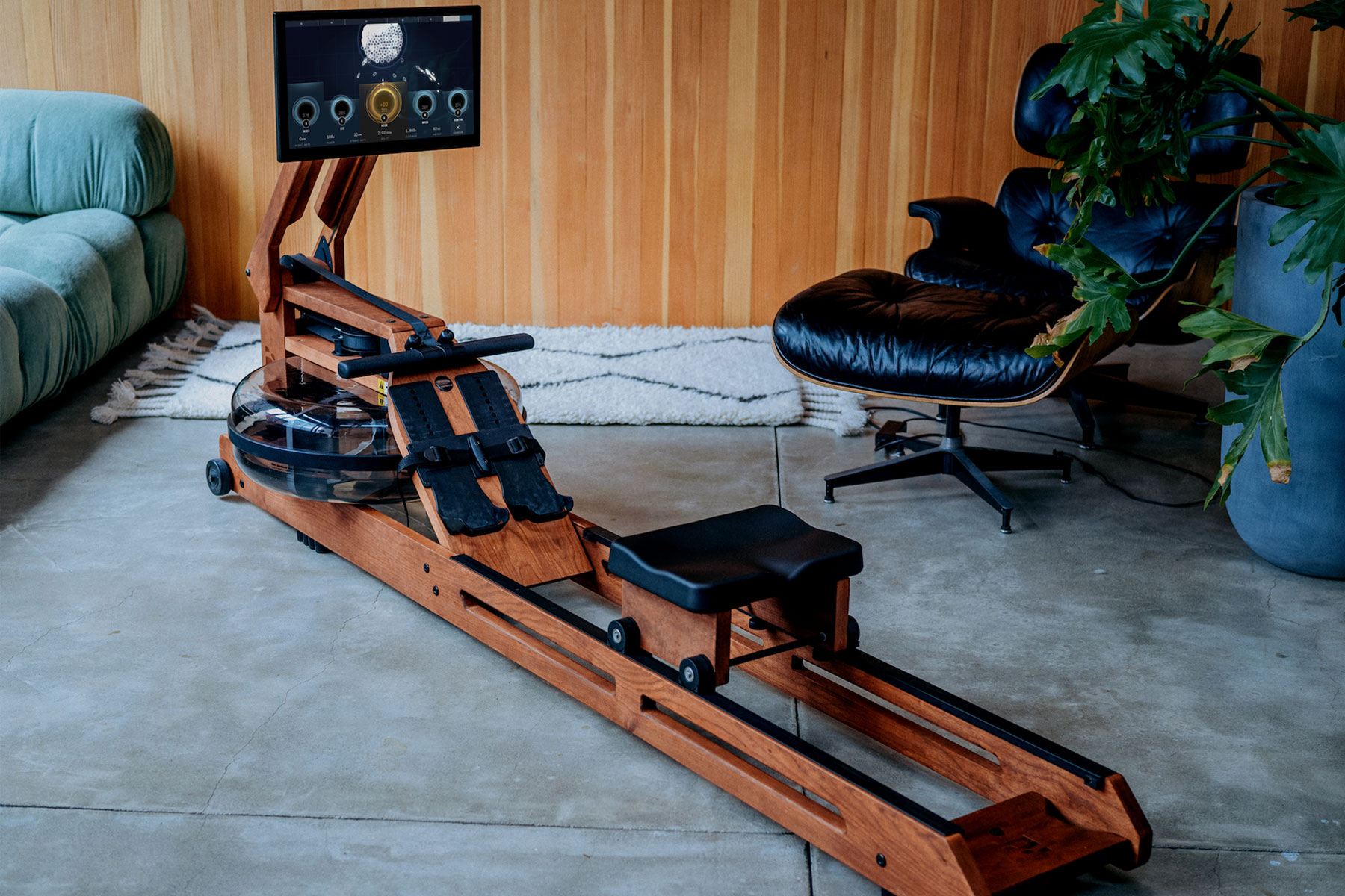 WaterRower Ergatta Modell