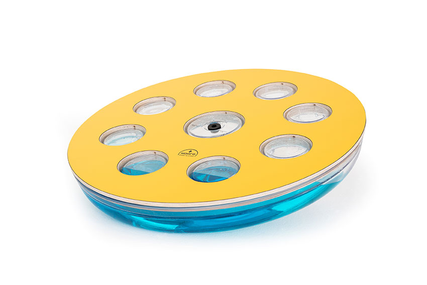 Eau-Me Board Yellow