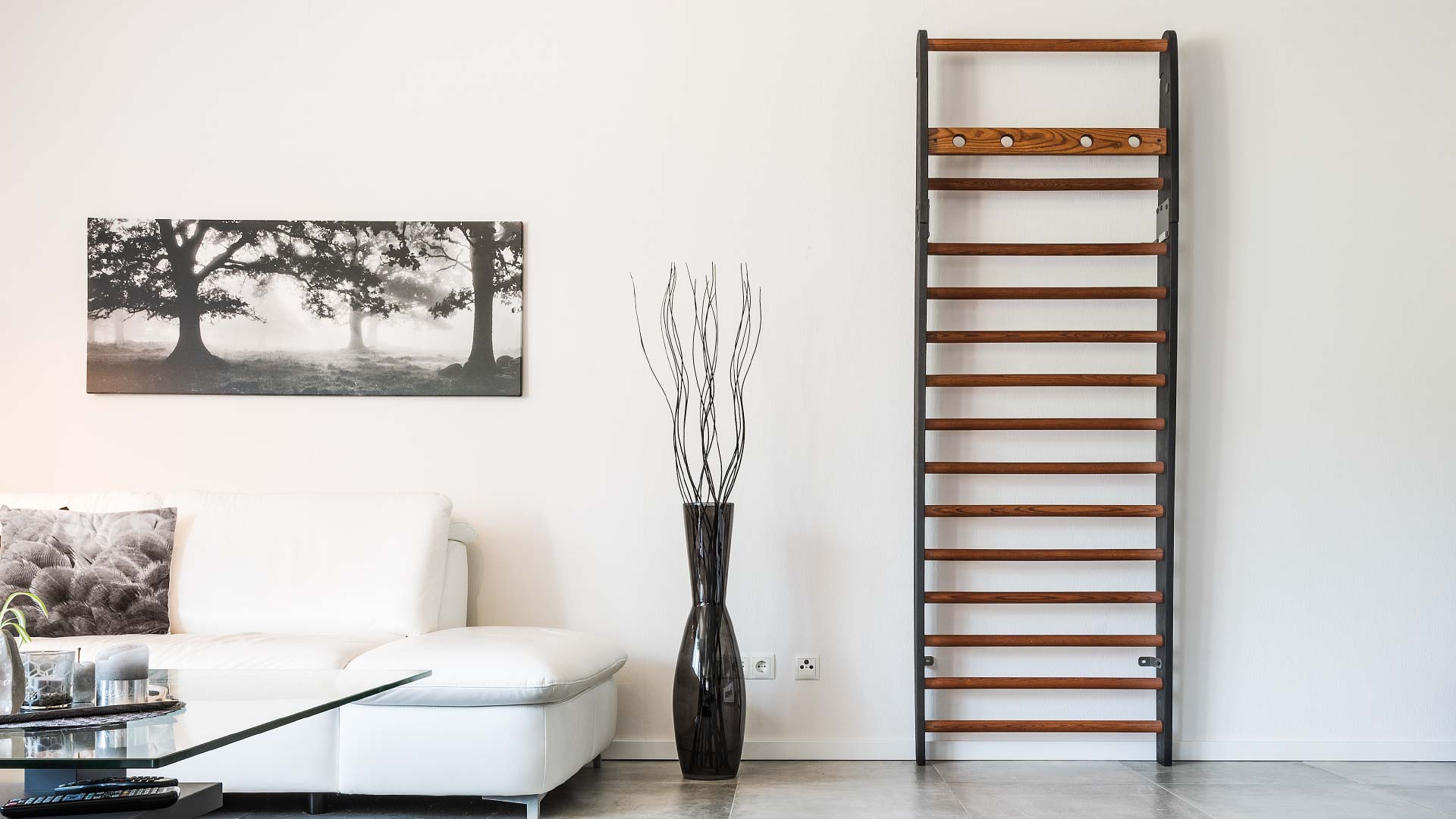 NOHrD WallBars ideal for all areas of fitness training